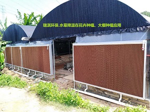 大棚种植水幕降温、恒湿案例