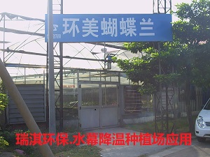 花卉种植水幕降温案例